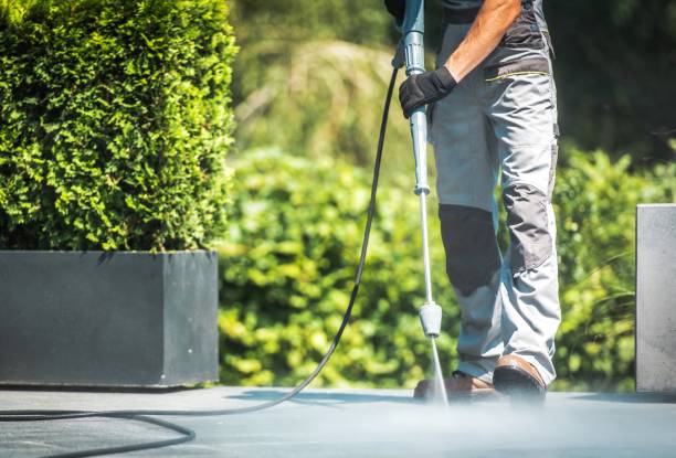 Best Gutter Cleaning  in Bridge City, TX