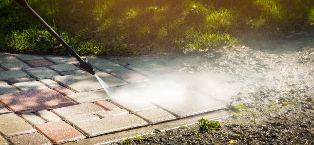 Best Fence Cleaning  in Bridge City, TX