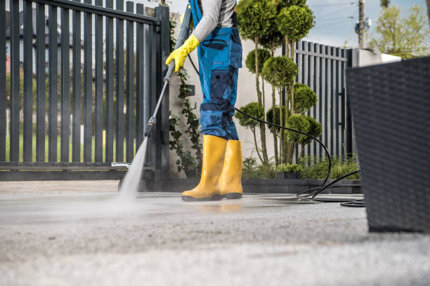 Best Soft Washing  in Bridge City, TX