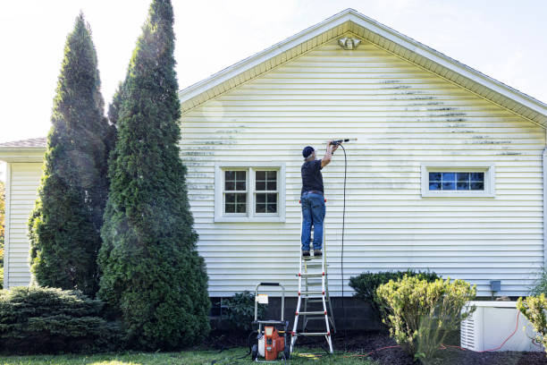 Best Dumpster Area Cleaning  in Bridge City, TX
